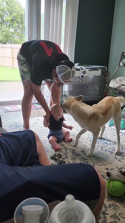 Blind Husky Loves Baby