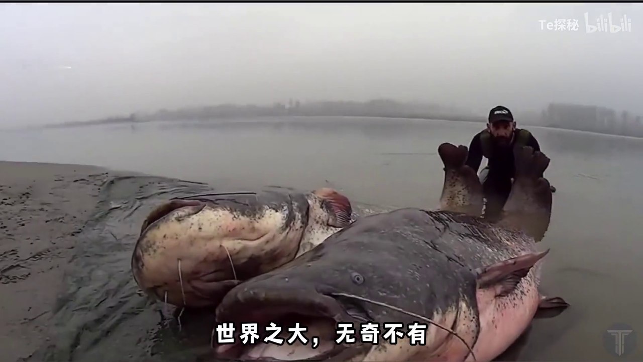 Are you afraid to catch this fish?