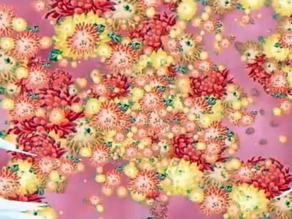 Final Approach Staffel 1 Folge 1 HD Deutsch