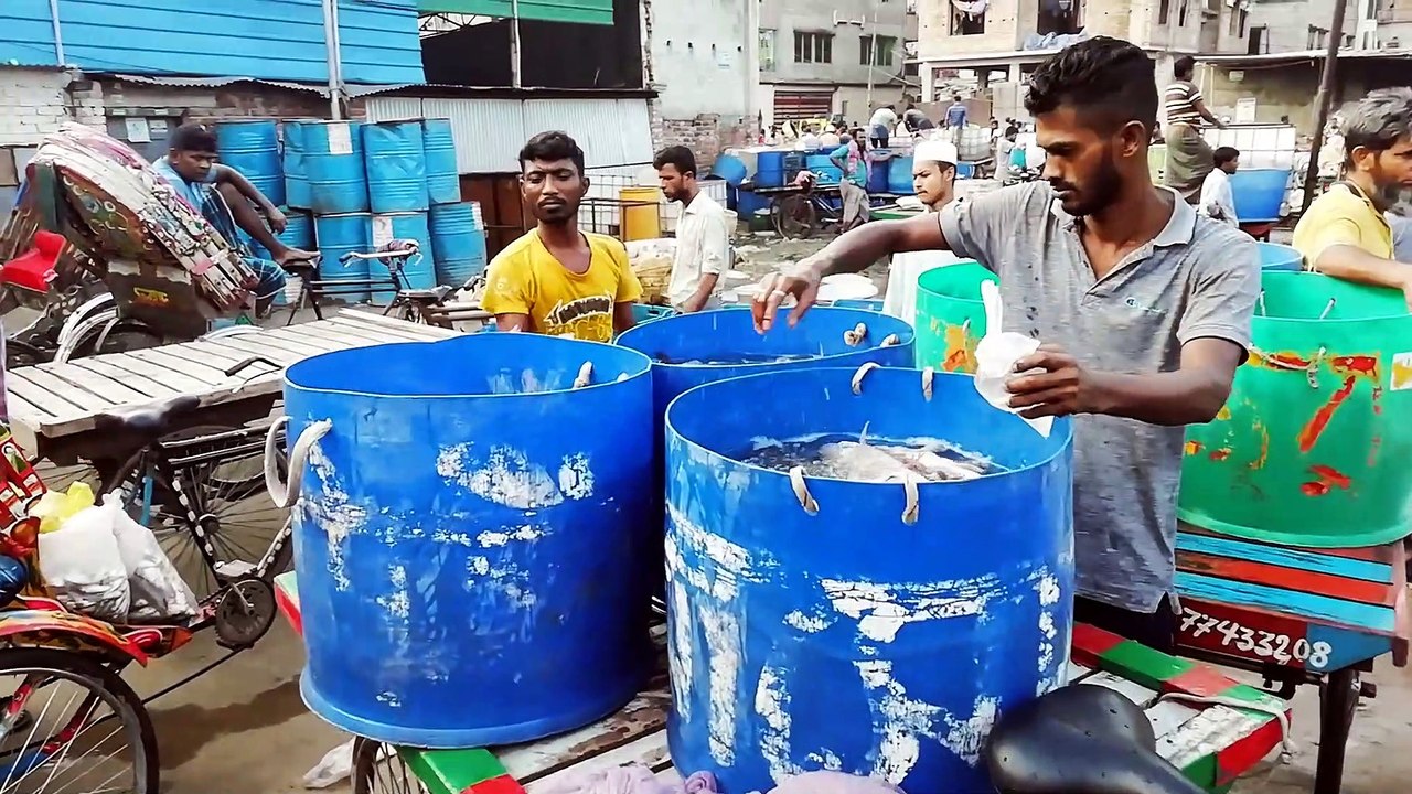 Most Popular Fish Market In Bangladesh || Amazing Fish Video || Crowd Fish Market
