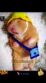 Wow So Beautiful Cute Pie Rabbit Sleeping Time | Cute Rabbit Animals Video | Cute Animals Yt