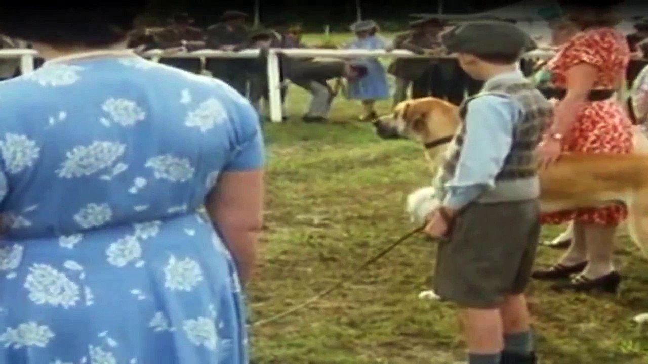 Der Doktor Und Das Liebe Vieh Staffel 4 Folge 7 - Part 02 HD Deutsch