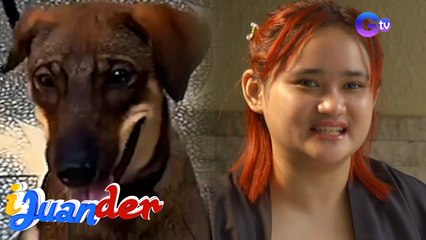 Nagpakilalang dog trainer online, biglang hindi ma-contact matapos makuha ang bayad?! | I Juander