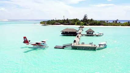 Paradise port on an island