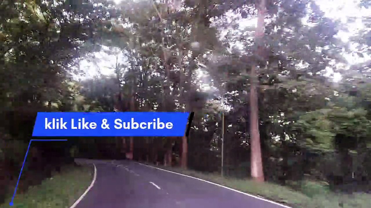 Arak-arak Bondowoso, Menikmati Pemandangan Indah Bareng Puluhan Monyet