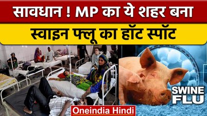 Swine flu in Madhya Pradesh: जानिए किस city में मिले सबसे ज्यादा patients | वनइंडिया हिंदी |*News
