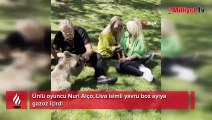 Nuri Alço'dan yavru ayıya gazoz!