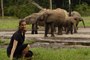 In the Footsteps of Elephants with Saba Douglas-Hamilton