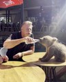 Hayvanat bahçesini ziyaret eden efsane oyuncu Nuri Alço yavru ayıya gazoz içirdi