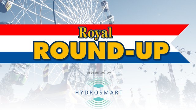 Royal Round-up Day 7.mp4