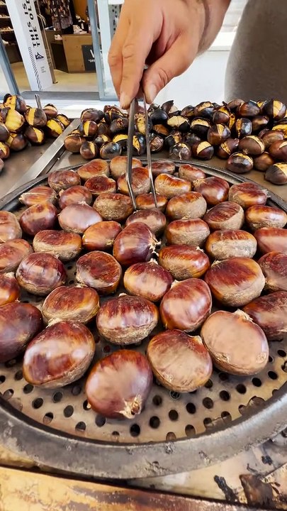 Turkish Kestane Making Process of Istanbul #shorts