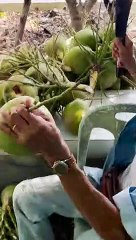 Amazing Coconut Cutting Skills of Thailand #shorts
