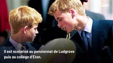 GALA Prince William : ce qu'il faut connaître
