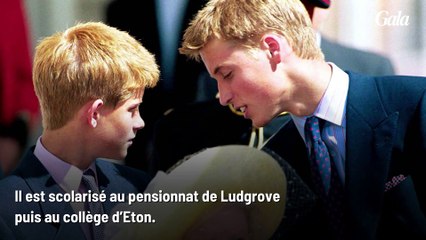 GALA Prince William : ce qu'il faut connaître