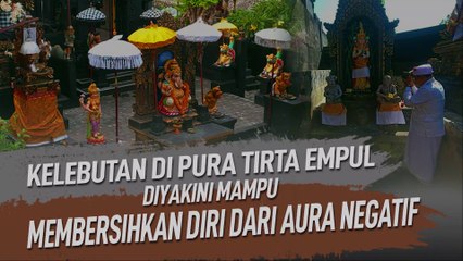 KELEBUTAN DI PURA TIRTA EMPUL DIYAKINI MAMPU MEMBERSIHKAN DIRI DARI AURA NEGATIF