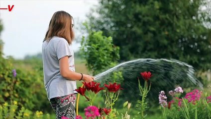 How to Survive Sleeping in ‘Flammable’ Heatwave Nights