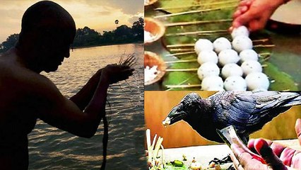 Pitru Paksha 2022:पितृपक्ष में इन रूपों में घर आते हैं पितर,इन्हें कभी खाली हाथ न लौटाएं*Religious