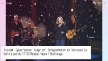 Sylvie Vartan confrontée à un concert 