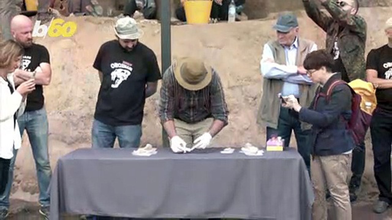 Ancient Tooth Discovery Tells Story of Early Human Migration