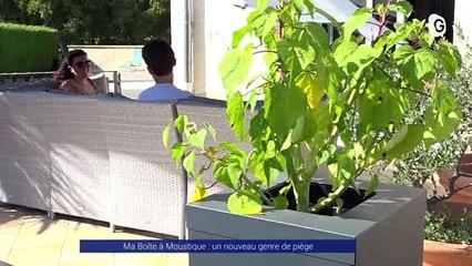 Reportage - Ma Boite à Moustique : un nouveau genre de piège - Reportages - TéléGrenoble