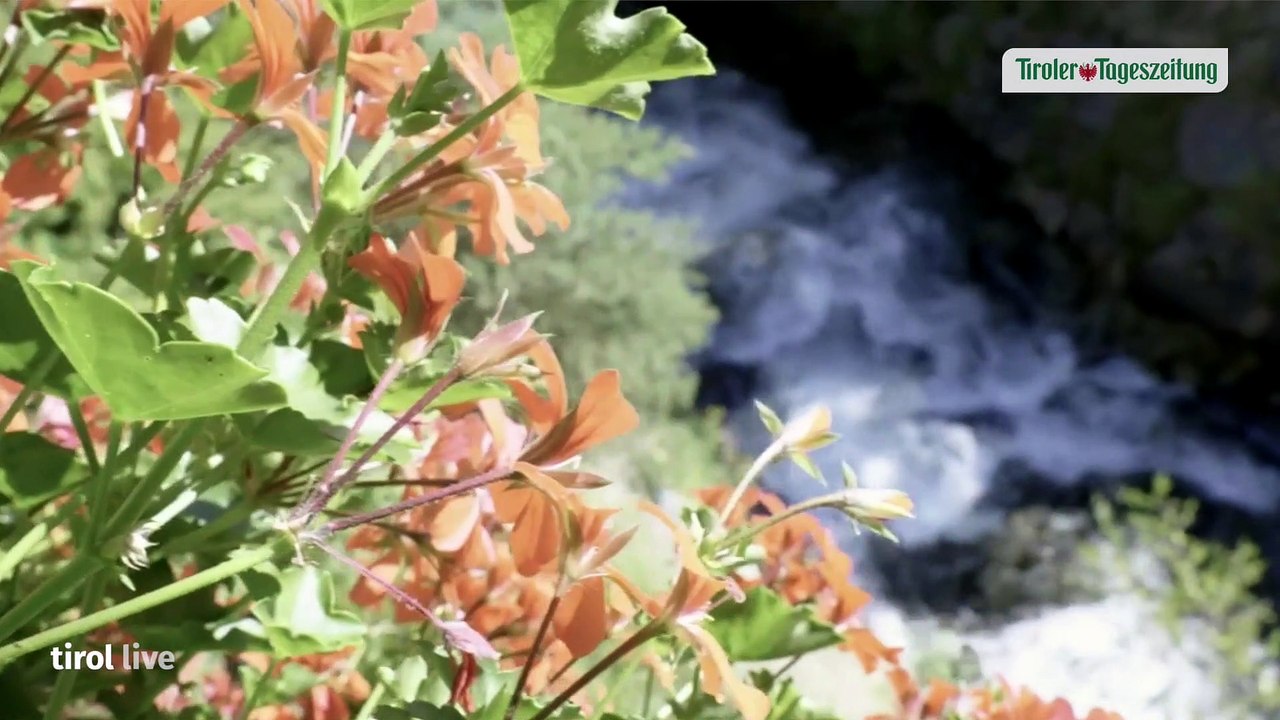 „Tirol Live” am 9. September mit Georg Dornauer (SPÖ)