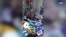 Cachorra é encontrada no lixo