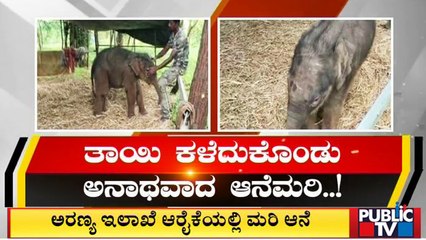Ramanagara Villagers Rescued Baby Elephant | Public TV
