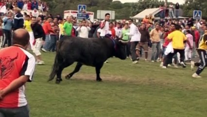 La Fiscalía no ve delito en el Toro de la Vega y archiva la investigación abierta