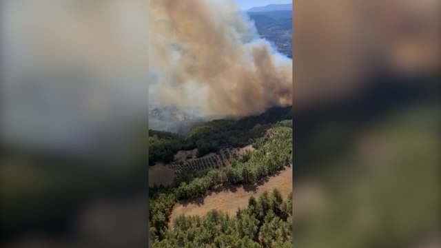 Denizli-Muğla sınırında orman yangını