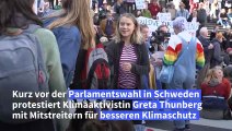 Vor Schweden-Wahl: Thunberg fordert mehr Einsatz fürs Klima