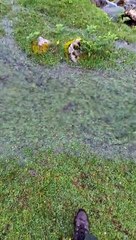 Il découvre une toute nouvelle chute d'eau juste formée en Ecosse