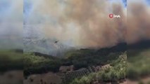 Muğla gündem haberleri: Muğla - Denizli il sınırında orman yangını