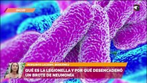 Qué es la Legionella y por qué desencadenó un brote de neumonía