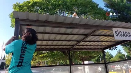 Son dakika haberi | Sigara içme alanı çatısında mahsur kalan kediyi hastane personeli kurtardı