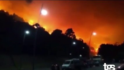 Nottata di incendi nelle province di Palermo e Trapani