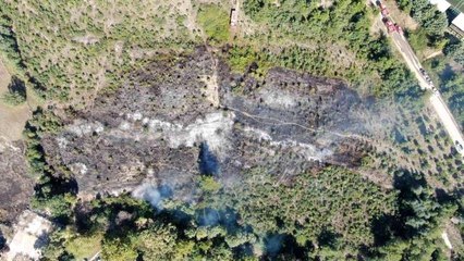 Son dakika haberi: Bursa'da korkutan anız yangını böyle görüntülendi