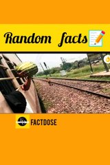 Random facts  | #facts #dailymotion
