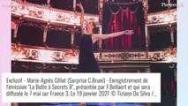Marie-Agnès Gillot (Danse avec les stars), mère célibataire 