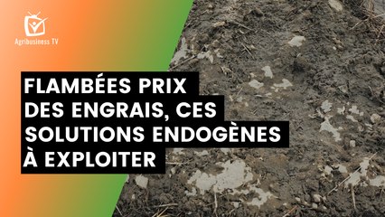 Burkina Faso : Flambées prix des engrais, ces solutions endogènes à exploiter