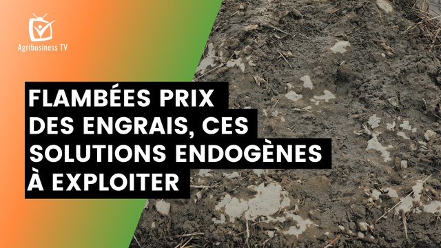 Burkina Faso : Flambées prix des engrais, ces solutions endogènes à exploiter