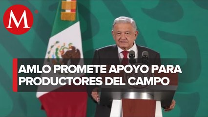 Es necesario reforzar plan de seguridad para Zacatecas: AMLO