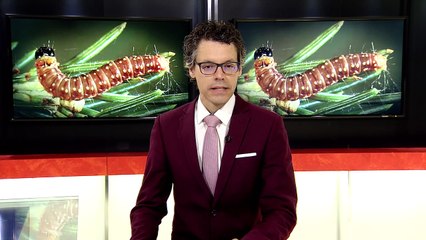 TVA Nouvelles CHAU 12h 9 septembre 2022