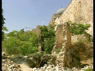 The House of David - #10 House Plans