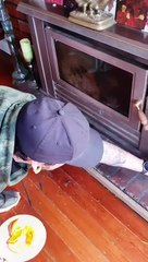 Possum récurrent descend dans la cheminée pour des friandises - Buzz Buddy