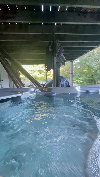 Rainette espionne un bain à remous - Buzz Buddy