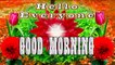 Hello Everyone | Good Morning | GOOD MORNING WISHES | GOOD MORNING video | morning inspirational wishes | morning motivational wishes