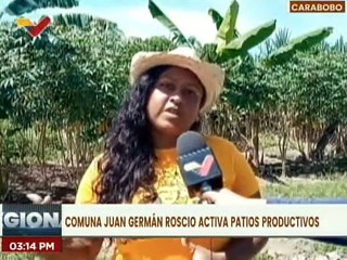 Carabobo | Estado Mayor realiza reunión de trabajo con voceros de la Comuna Juan Germán Roscio