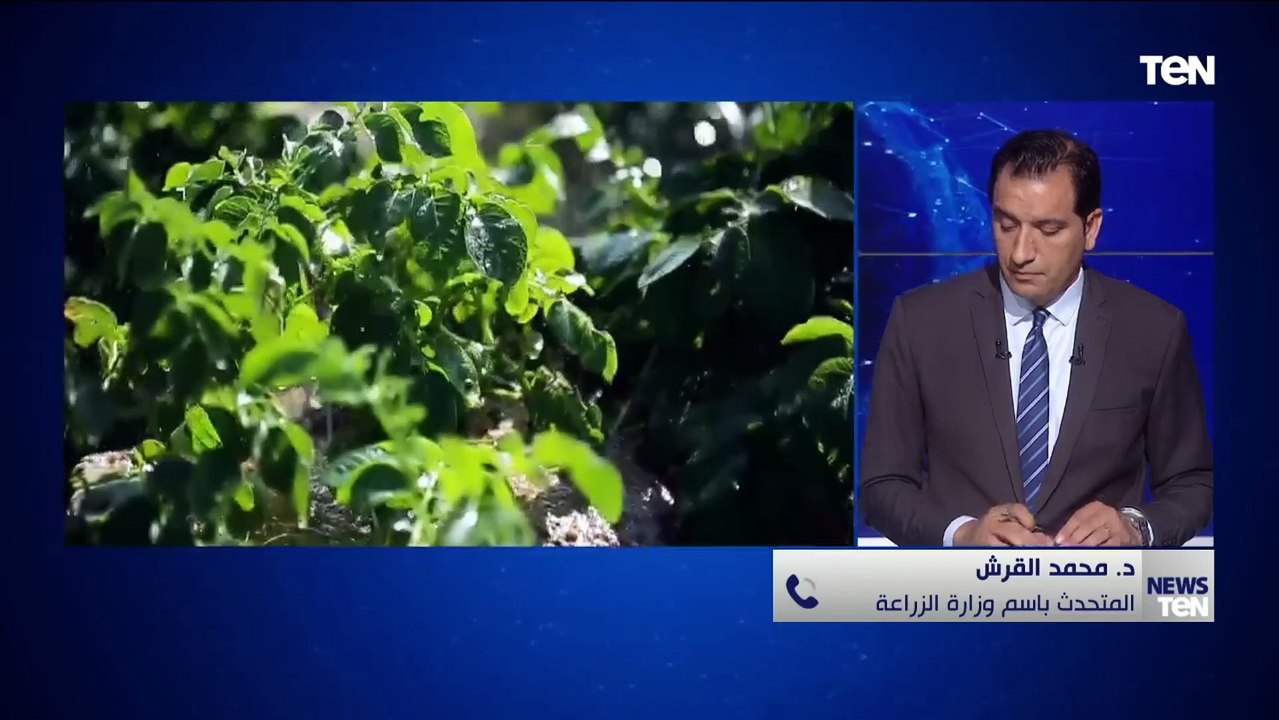 المتحدث باسم وزارة الزراعة: قطاع الزراعة شهد إهتمام كبير منذ 2014 وهدفنا زيادة المساحات المنتجة