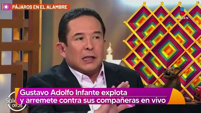 Gustavo Adolfo Infante se disculpa tras discusión con Joanna Vega-Biestro