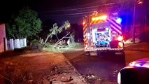 Corpo de Bombeiros e Defesa Civil realizam trabalhos de entrega de lonas e poda de árvores